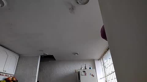 janariivera1 online show from January 6, 2026, 4:54 pm