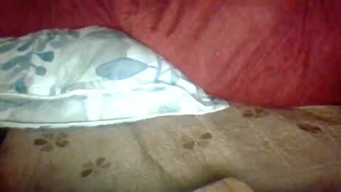 Snapshot of janneparker chatting on November 25, 2025, 2:39 pm Janne online show from November 25, 2025, 2:39 pm