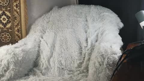 Snapshot of jaredhighborne chatting on January 15, 2026, 5:05 pm K online show from January 15, 2026, 5:05 pm