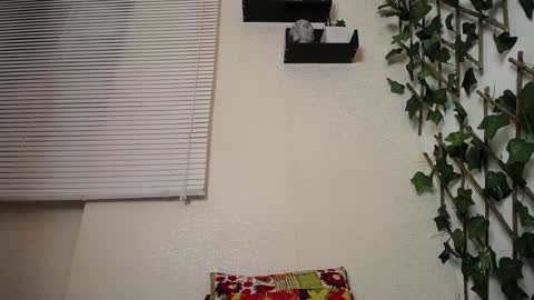 JKing  online show from January 23, 2025, 4:09 am