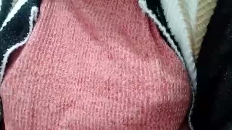 jasspreettt online show from February 1, 2025, 1:55 am