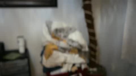 Snapshot of javlovesu chatting on April 15, 2026, 2:29 am JAV online show from April 15, 2026, 2:29 am