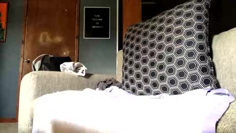 Snapshot of jawssharkparty chatting on September 10, 2025, 7:25 pm Jaws online show from September 10, 2025, 7:25 pm