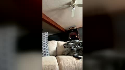 Snapshot of jawssharkparty chatting on January 5, 2026, 7:50 pm Jaws online show from January 5, 2026, 7:50 pm