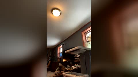 Jaws  online show from January 17, 2026, 4:54 pm