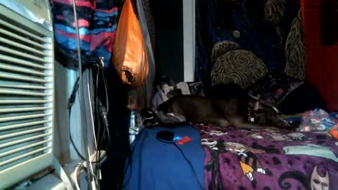 Snapshot of jax_skyfallin chatting on February 25, 2025, 4:46 am jaxxx666 online show from February 25, 2025, 4:46 am