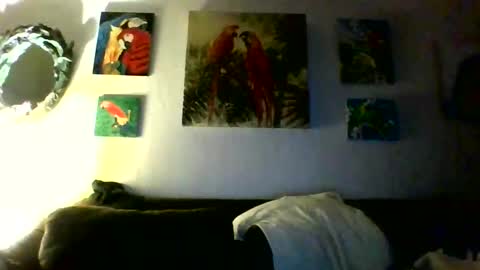 Snapshot of jay_jay1475 chatting on January 31, 2026, 10:08 pm jay-jay1475 online show from January 31, 2026, 10:08 pm