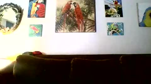 Snapshot of jay_jay1475 chatting on February 18, 2026, 6:15 pm jay-jay1475 online show from February 18, 2026, 6:15 pm