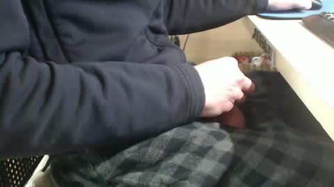 jc200000 online show from January 29, 2025, 6:07 pm