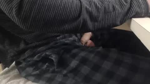 jc200000 online show from November 3, 2025, 6:31 pm