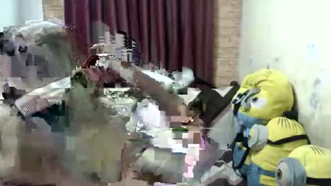 Snapshot of jdan81 chatting on September 28, 2025, 5:07 pm GorgeousCASSIE online show from September 28, 2025, 5:07 pm