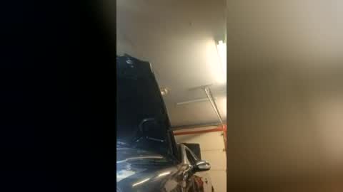 jdpcars1771 online show from July 8, 2026, 12:04 am