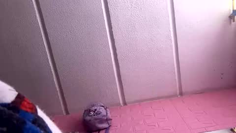 jdsj1a873165 online show from March 18, 2026, 3:04 pm