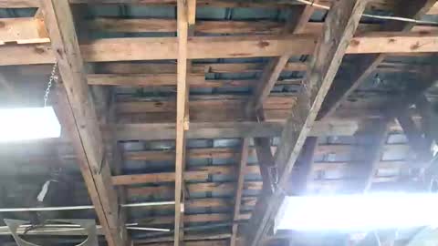 jeepcod87 online show from April 3, 2026, 6:39 pm