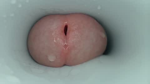 Snapshot of jeffrodgerschaturbat chatting on October 3, 2025, 11:18 am jeffrodgerschaturbat online show from October 3, 2025, 11:18 am