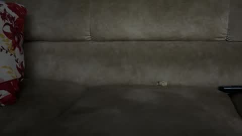 Andrew online show from November 22, 2025, 5:28 am