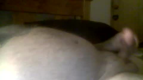 Snapshot of jerkmate6666 chatting on April 21, 2026, 11:49 am jerkmate6666 online show from April 21, 2026, 11:49 am