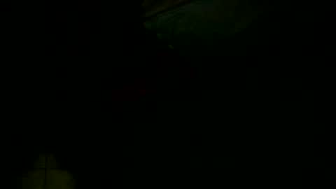 dovedianna online show from December 16, 2024, 4:02 am