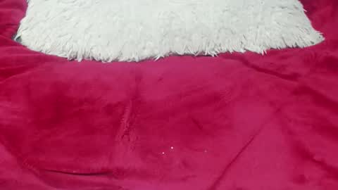 jessy online show from November 25, 2025, 12:43 am