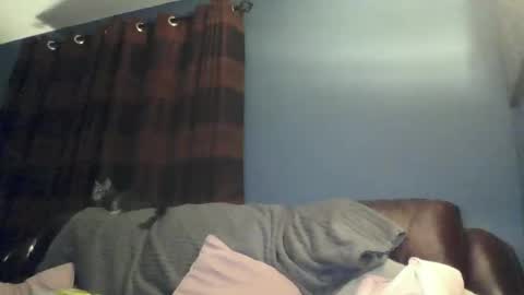 Snapshot of jilfyj chatting on March 15, 2026, 12:49 am jilfyj online show from March 15, 2026, 12:49 am