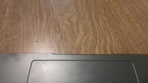 jin16000 online show from October 29, 2025, 1:46 pm