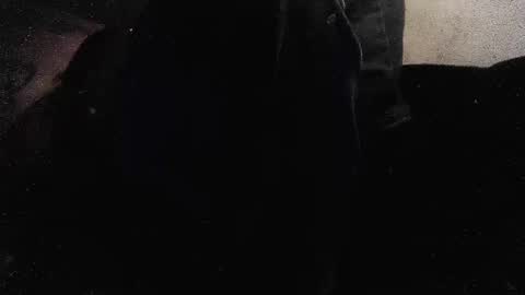 jjohnathan529 online show from January 26, 2025, 3:58 pm