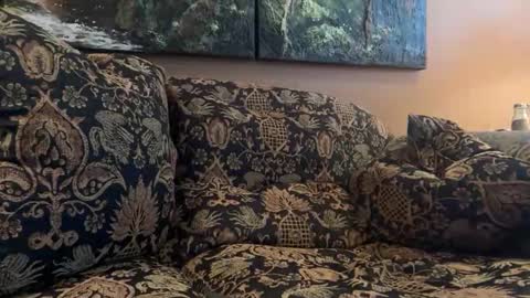 jlk7777 online show from February 10, 2026, 5:17 pm