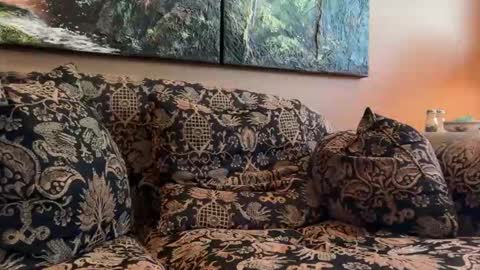 jlk7777 online show from April 17, 2026, 3:15 pm