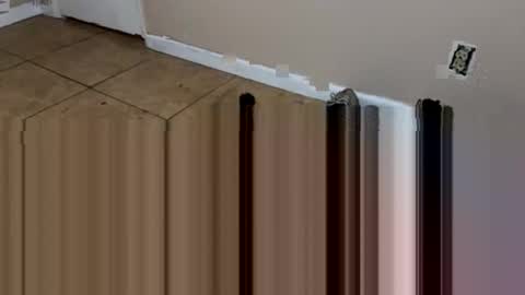 jocmyv9wokry online show from January 9, 2026, 2:47 am