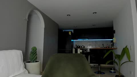 Snapshot of joe_esthetic chatting on January 16, 2025, 11:48 pm joe_esthetic online show from January 16, 2025, 11:48 pm