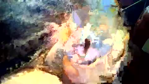 Snapshot of joedunbar61 chatting on September 17, 2025, 12:12 am joedunbar61 online show from September 17, 2025, 12:12 am