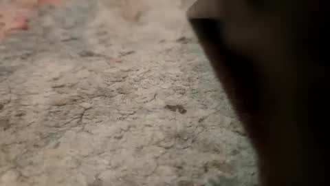 Snapshot of joemancini643 chatting on September 21, 2025, 2:13 am joemancini643 online show from September 21, 2025, 2:13 am