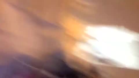 Snapshot of john0131739980 chatting on September 19, 2025, 6:37 am john0131739980 online show from September 19, 2025, 6:37 am