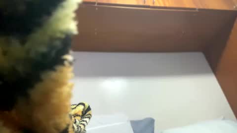 JOHN online show from February 8, 2025, 11:55 pm