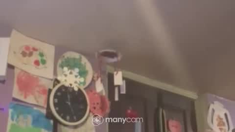 johnnyshung1 online show from December 16, 2024, 9:57 am