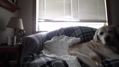 Johston online show from November 5, 2025, 1:44 pm