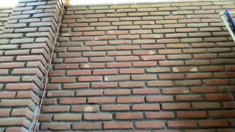 JorgeMAXX online show from February 9, 2025, 8:34 pm