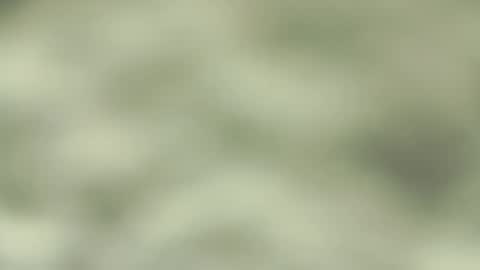 Jorge San online show from March 9, 2025, 9:36 pm