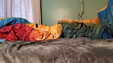 jorjina_x_mckie online show from January 9, 2025, 8:22 pm