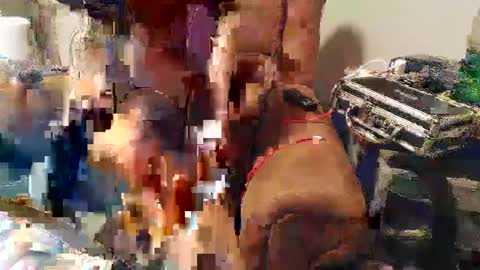 Josef online show from January 22, 2025, 11:10 pm