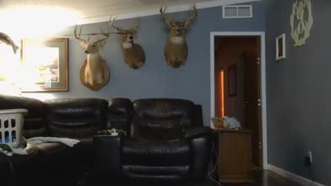 Snapshot of joshua122933 chatting on March 26, 2026, 2:28 am Josh online show from March 26, 2026, 2:28 am