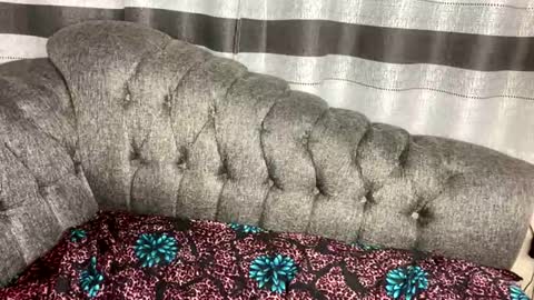 Butterflyass online show from March 4, 2026, 3:12 am