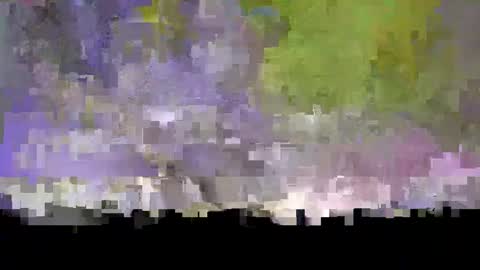 jshen88 online show from January 6, 2025, 10:26 pm