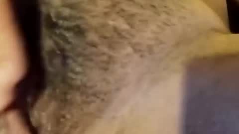 Snapshot of jsjsjdjsjjdx chatting on January 9, 2026, 3:53 am jsjsjdjsjjdx online show from January 9, 2026, 3:53 am