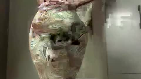 Juicey lovely online show from April 6, 2026, 2:07 pm