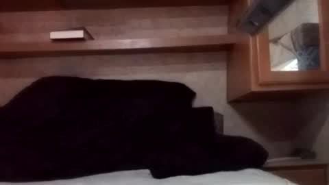 Juish5521 online show from March 3, 2025, 12:26 am