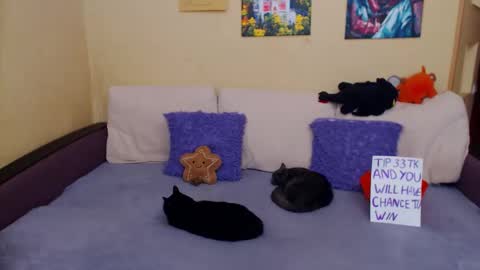 Jul online show from November 4, 2025, 11:20 am