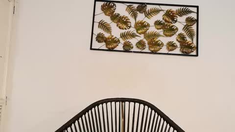 Juli online show from October 10, 2025, 8:08 pm