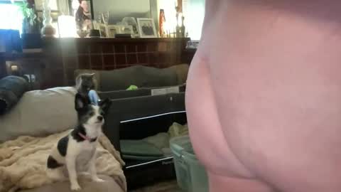 Snapshot of just4you101 chatting on February 10, 2026, 9:52 pm Flirty influncer online show from February 10, 2026, 9:52 pm