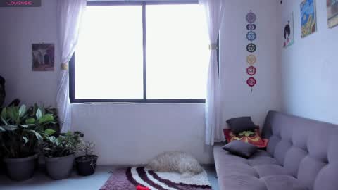 Sofia online show from April 11, 2026, 1:48 pm